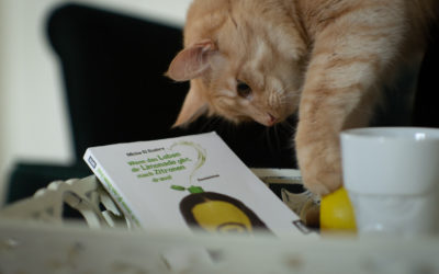 Buhnenliteratur Fur Zu Hause Bucher Von Poetry Slammer Innen