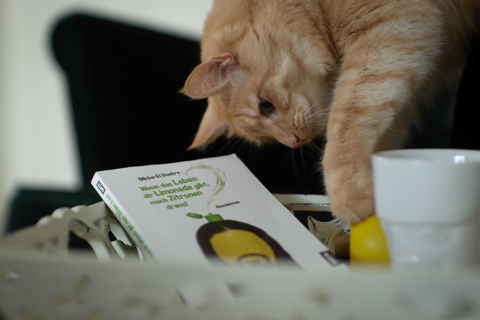 Tablett mit Buch "Wenn das Leben dir Limonade gibt, mach Zitronen draus!" von Micha-El Goehre und Kaffetasse und Katze