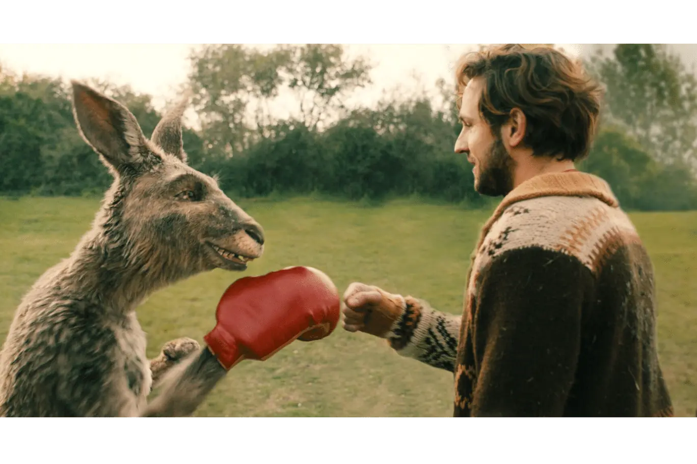 Marc-Uwe Kling und Känguru mit Boxhandschuhen - Pressebild zur Rezension des Kinofilms